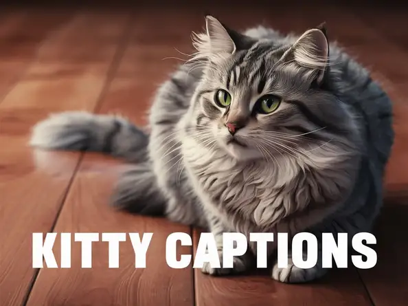 Kitty Captions