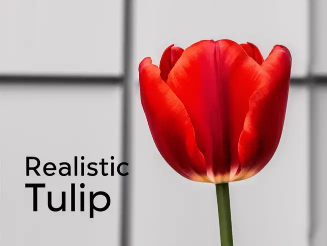 Tulip Quotes for Instagram
