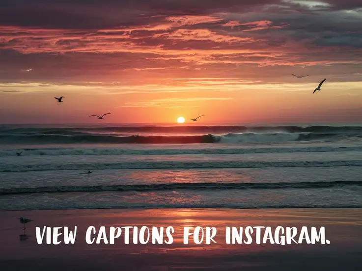 View Captions for Instagram